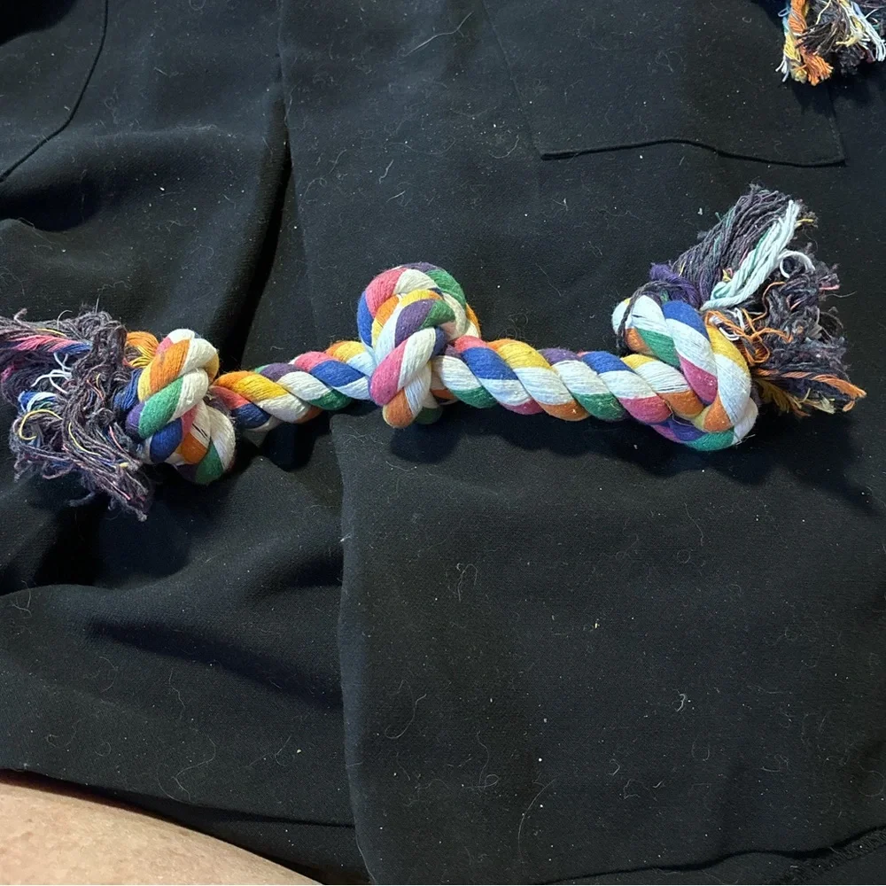 New 5 dog toys. For medium dog 3 rope 1 ready bear and 1 Hertz dura play toy
